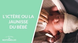 Lictère ou la jaunisse du bébé  La Maison des maternelles LMDM [upl. by Eciralc]