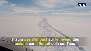 L’un des plus gros icebergs jamais vu s’est détaché de l’Antarctique [upl. by Arikihs]