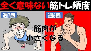 【筋トレ科学】筋肉が萎縮する最悪な筋トレ頻度 筋力トレーニングの間違った頻度で筋肉が小さくなる [upl. by Yunfei]