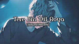 Tere Bin Dil Roya  SlowedReverb music song lofi Use headphone 🎧 for better experience [upl. by Toomin102]