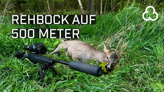 Rehbock auf 500m  Zwischen technischer Möglichkeit und jagdlicher Anwendbarkeit [upl. by Leavitt]