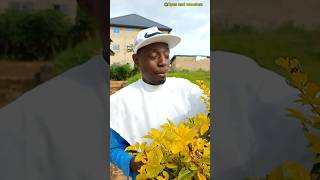 EQUATORIAL GUINEA BLU FILM VIEWS🤷🏾🤷🏾🤷🏾🤷🏾🤷🏾 africa fypシ゚viral marriage funny [upl. by Dennison838]