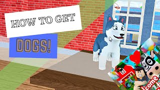 How to get DOGS Welcome to Farmtown 2 Roblox [upl. by Onek]