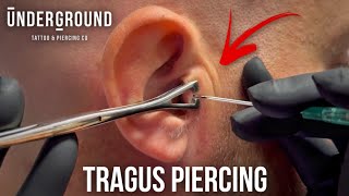 How To Get A Tragus Piercing 🔥 Cool Ear Piercing undergroundbodypiercing [upl. by Corneille]