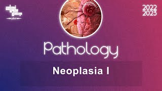 Ch 6 General aspects of neoplasia 1 and Locally Malignant tumors Pathology [upl. by Medardas512]