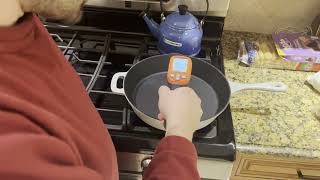 Small Review of AMES INSTRUMENTS 121 Infrared Laser Thermometer from Harbor Freight [upl. by Bernette]