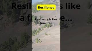 Seeds of Wisdom – Resilience  motivation agelesswisdom quotes facts hiddenwisdom [upl. by Wilt665]