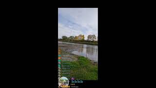 Fishing ● 20 Oct 2024  Alberta Canada 🇨🇦 subscribe Canada [upl. by Gretta894]