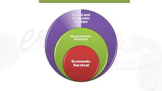 Profit Maximization [upl. by Grigson]