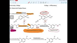 Adrenergic Agent organic pharmacy p1 [upl. by Erda436]