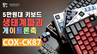 콕스 CK87 모든축리뷰 이 영상하나면 끝 가성비갑 기계식 키보드 추천 게이트론축 황축 갈축 청축 녹축 저소음갈축Gateron Keyboard5 4K [upl. by Anatnas]