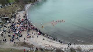 Clarington Polar Bear Dip  Newcastle ON Canada [upl. by Eihpos]