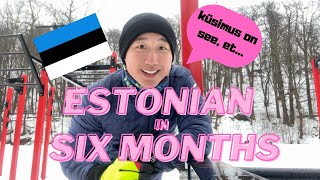 How I learned Estonian in six months Eesti keeles [upl. by Laven]