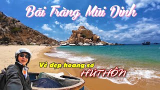 Khám phá BÃI TRÀNG MŨI DINH vẻ đẹp hoang sơ HÚT HỒN của vùng đất đầy Nắng và Gió NINH THUẬN [upl. by Panter]