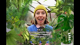 Vous êtes accro aux plantes exotiques  Cette vidéo deTaMereNature est faite pour vous [upl. by Hebert]