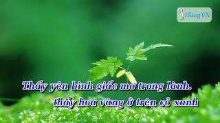 KARAOKE Tôi Thấy Hoa Vàng Trên Cỏ Xanh Ái Phương BEAT [upl. by Yelraf]