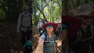 Kilimanjaro trek Day 1 hiking travel [upl. by Snave173]