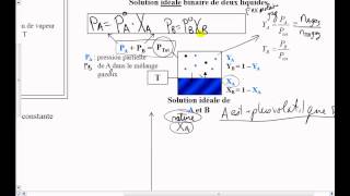 14Loi de Raoult [upl. by Mullac]