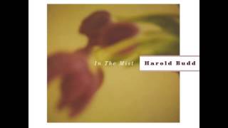 Harold Budd  Come Back To Me In Dreams [upl. by Lesser]