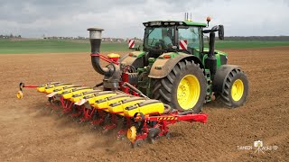 Semis de Tournesol 🌻  JD 6250R amp Vaderstad Tempo TPV9  SARL DENDAUW [upl. by Licha348]