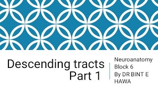 Descending Tracts Part 1  Corticospinal Tract  Neuroanatomy made easy by Dr Bint e Hawa [upl. by Annairam]