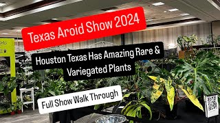 Texas Aroid Show 2024 Houston Texas Rare Variegated Aroids and Houseplants Full Show Plant Showcase [upl. by Ahsenra]