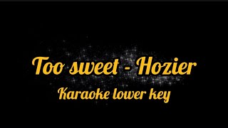 Too Sweet  Hozier Karaoke version lower key [upl. by Yerot]