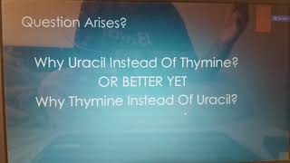 why Thaimine instead of Uracil in DNA  or why Uracil instead of Thaimine in RNA [upl. by Htennaj]