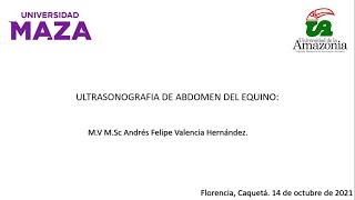 Ultrasonografía del abdomen equino Prof Andrés Felipe Valencia Colombia [upl. by Ostler]