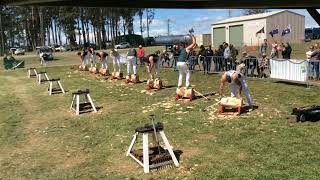 Woodchopping Final 325mm Underhand Championship Launceston Show 141023 amandabeams3354 [upl. by Ssalguod379]