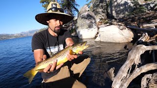 Camping ALONE with New Hammock  BIG Brown Trout [upl. by Nuahsyar]