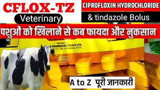 VetBolusCFLOXTZ  Cifrofloxacin Hydrochloride amp Tinidazole  Broad Spectrum Antibiotic [upl. by Heidt522]