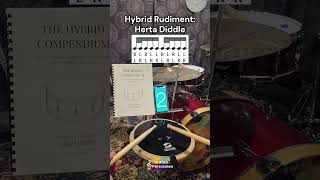 Hybrid Rudiment  Herta Diddle [upl. by Amarillis]