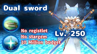 Dual Sword 250 10 M budget  Toram Online [upl. by Aknayirp]