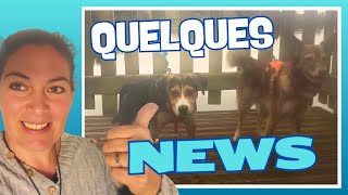 Quelques news blabla chiens etc [upl. by Nedak]