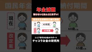 【知らないと損】年金が減額！2025年の年金改正！ [upl. by Sarnoff998]