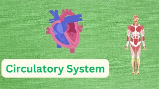 Circulatory system Grade 9 Biology Unit 3 Part 8 [upl. by Nalepka]