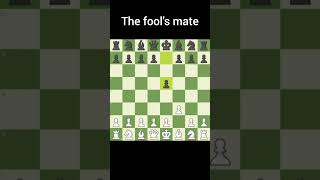 fastest checkmate in chess fools mate [upl. by Anelej]