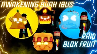 TUTORIAL CARA MELAKUKAN RAID AWAKENING BUAH IBLIS BLOX FRUIT SECOND SEA  ROBLOX INDONESIA [upl. by Einaffit]