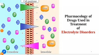 UrogenitalTheoreticalfinal revision quot Electrolytedisturbance Treatmentquot Pharmacology 3 🩺 [upl. by Burford982]