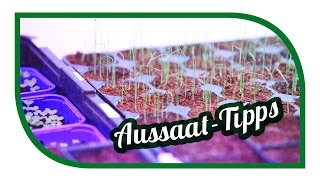 Aussaat amp Gartentipps im Januar 🌱 Jungpflanzenanzucht im Januar 🌱 Selbstversorgung [upl. by Refitsirhc]