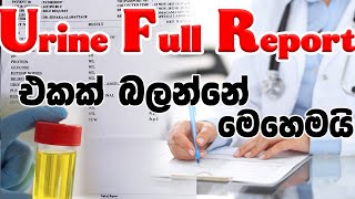 UFR  Urine Full Report  මුත්‍රා පරීක්ෂණ වාර්තාවක් කියවන්නෙ කොහොමද  sinhala [upl. by Bronson]