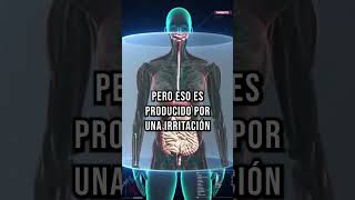 Consecuencias De Irritación Intestinal en el organismo [upl. by Yroc]