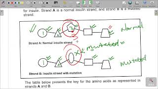 GRADE 12 LIFE SCIENCES SEPTEMBER PREPARATORY EXAMINATION PAPER 2 SECTION B QUESTION 2 [upl. by Naic]