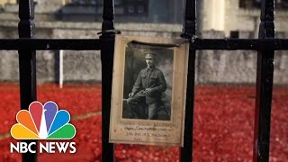 Armistice Day London Poppies Honor WWI Soldiers  NBC News [upl. by Odlaner]