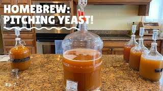 Cider Making  Home Pitching yeast [upl. by Chuck]