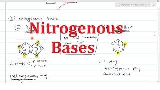 Nitrogenous Bases  Chemistry of Nucleic acid Part1  Purines amp Pyrimidines [upl. by Nereil253]