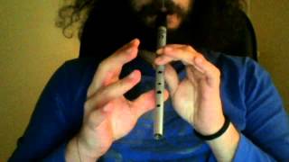 McAlpines Fusiliers  Tin Whistle [upl. by Nostets582]