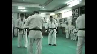 児玉道場組手練習 Kodama Dojo kumite training [upl. by Fernyak]