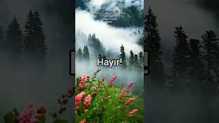 Hümeze Suresi islamicquotes cuma islamicshorts amin islamicvideo kuran quran [upl. by Harad]